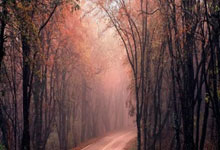 必一运动:凱恩離隊後熱刺反而更強大 球員獲得更多自由和空間.