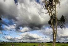 葡萄牙官宣坎塞洛新冠陽性 達洛特遞補.