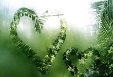 bsports必一体育:WTT规则改革后,国乒这样回应.