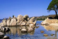 必一运动sport:英超第5輪埃弗頓2-2利物浦 馬內與薩拉赫先後破門建功.